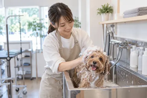 ペットサロン・トリミングの写真 No.3