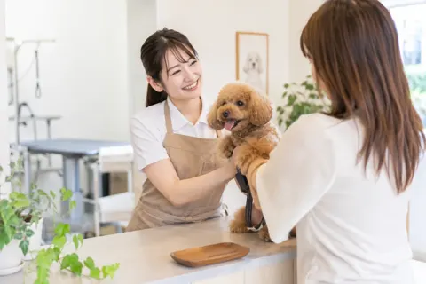 ペットサロン・トリミングの写真 No.11