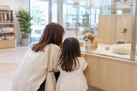 ペットショップの写真 No.12