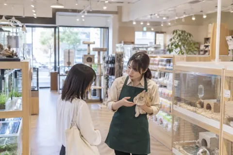 ペットショップの写真 No.34