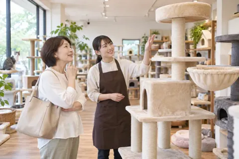 キャットタワーを見る飼い主と店員（ペット用品店の写真 No.19）