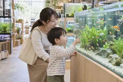 水そうの魚を見る子ども（ペット用品店の写真 No.23）