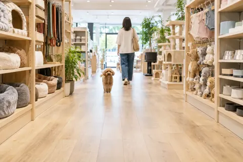 ペット用品店の写真 No.20