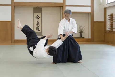 合気道の写真 No.15