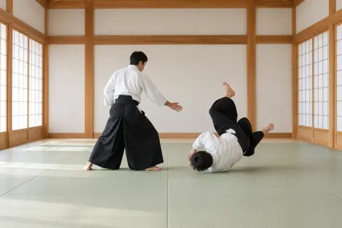 合気道の写真 No.27