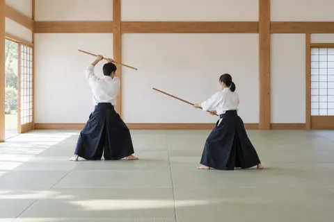 合気道の写真 No.30