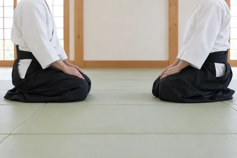 合気道の写真 No.31