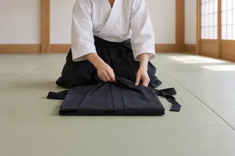 合気道の写真 No.33