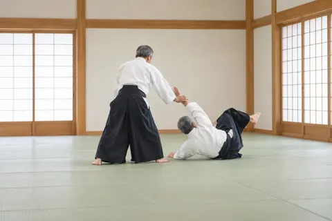 合気道の写真 No.41