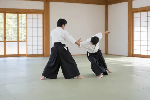 合気道の写真 No.45