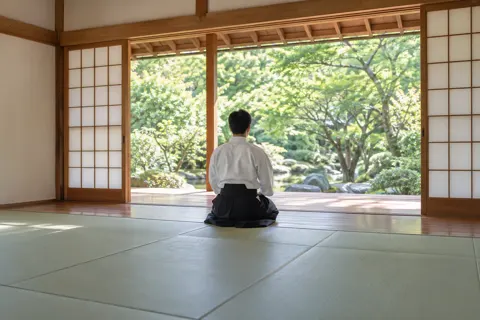 合気道の写真 No.46
