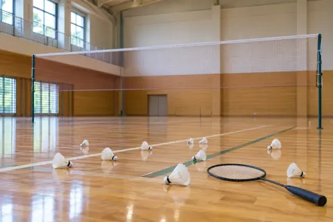 バドミントンの写真 No.29