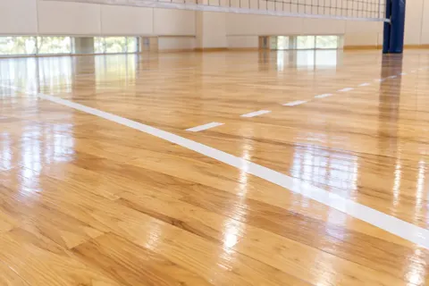 バレーボールの写真 No.27