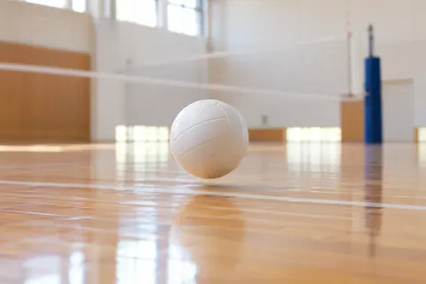 バレーボールの写真 No.41