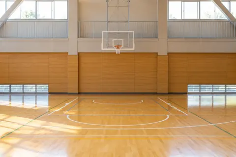 バスケットボールの写真 No.1
