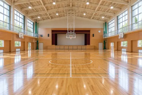 バスケットボールの写真 No.33