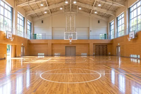 バスケットボールの写真 No.34