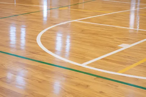 バスケットボールの写真 No.47