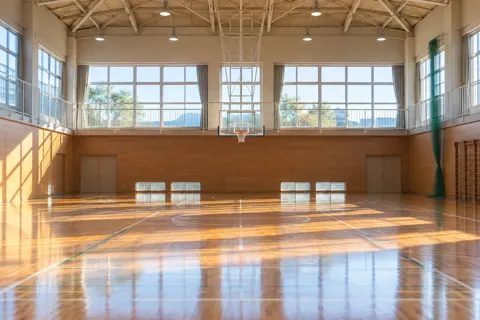 バスケットボールの写真 No.51