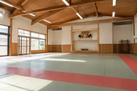 空手・柔道・剣道・合気道の写真 No.31