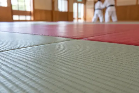 空手・柔道・剣道・合気道の写真 No.20
