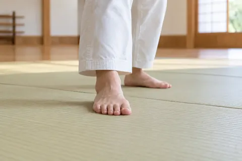 空手・柔道・剣道・合気道の写真 No.33