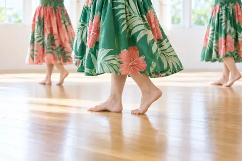 フラダンスの写真 No.27