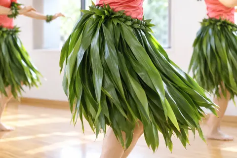 フラダンスの写真 No.38