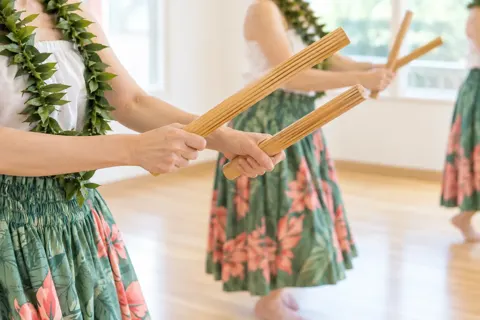 フラダンスの写真 No.39