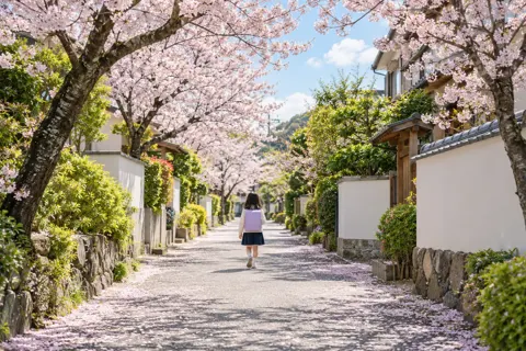 学習塾・進学塾・個別指導の写真 No.42