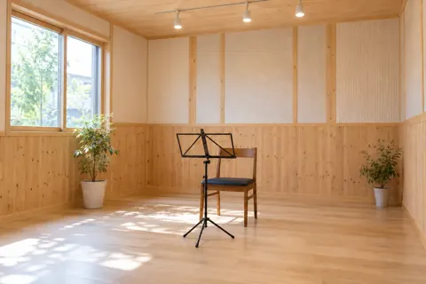 ギター・弦楽器の写真 No.12