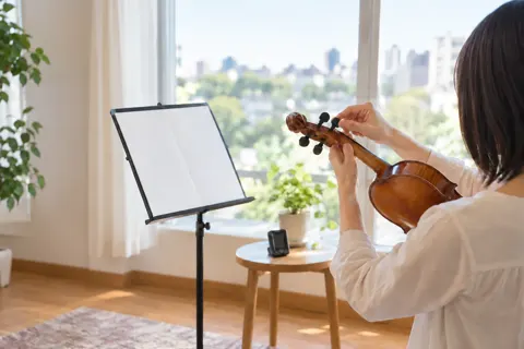 ギター・弦楽器の写真 No.44