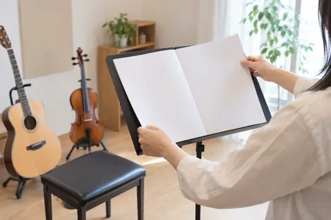 ギター・弦楽器の写真 No.48