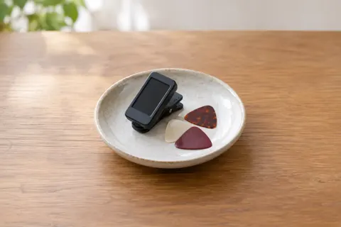 ギター・弦楽器の写真 No.55