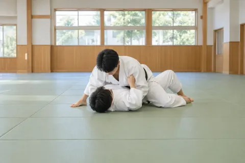 柔道の写真 No.33