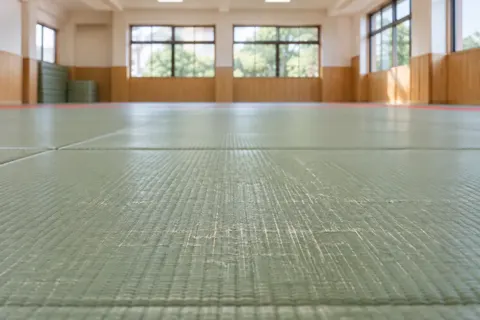 柔道の写真 No.36
