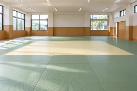 柔道の写真 No.39