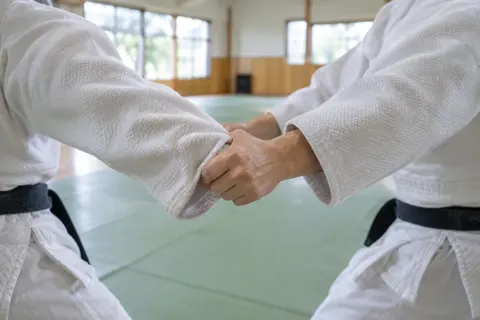 柔道の写真 No.45