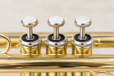 管楽器・吹奏楽の写真 No.49