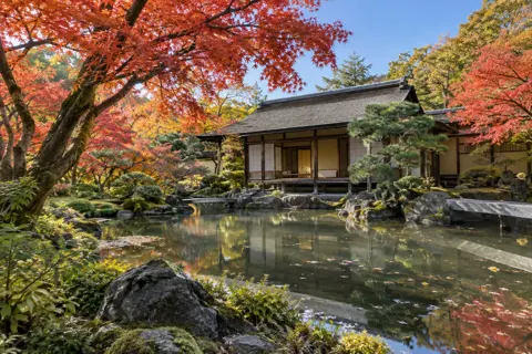 着付け・茶道・華道の写真 No.35