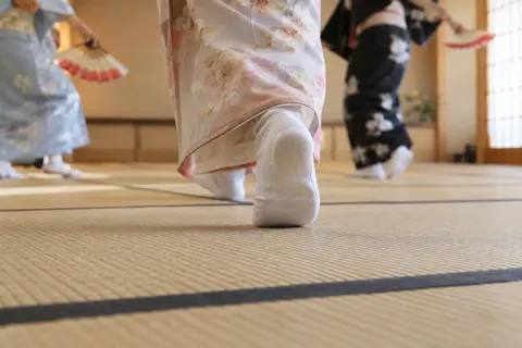 日本舞踊・よさこいの写真 No.15