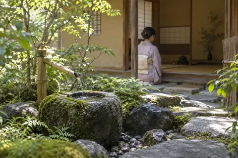 茶道の写真 No.34