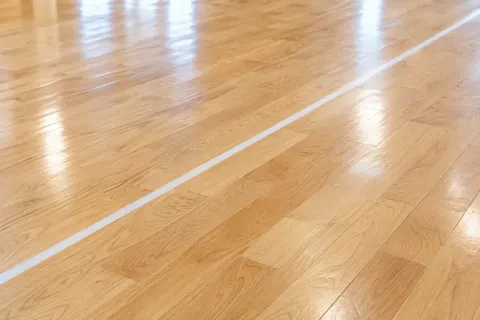社交ダンス・フラダンスの写真 No.8