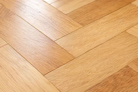 社交ダンス・フラダンスの写真 No.25