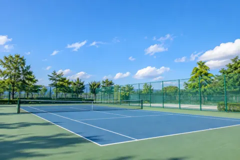 陸上・バレーボール・その他の競技の写真 No.4
