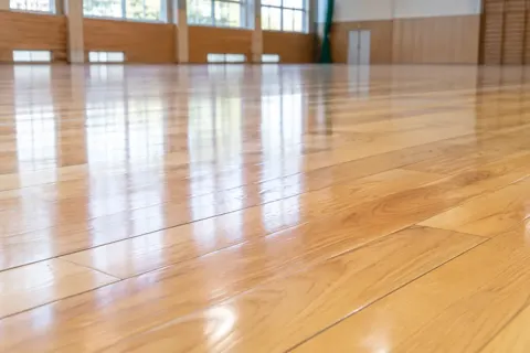 体操・チアリーディングの写真 No.12