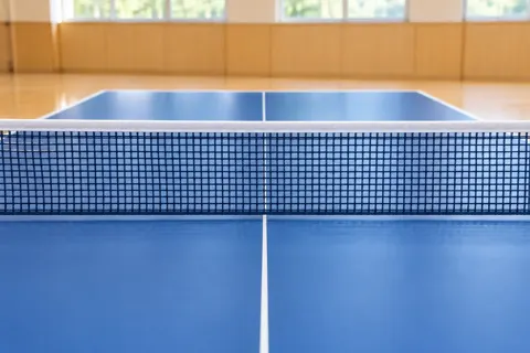 卓球・バドミントンの写真 No.24