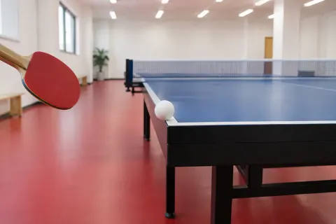 卓球の写真 No.31