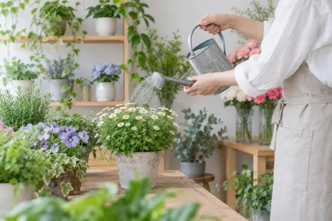 花・園芸・グリーンの写真 No.8