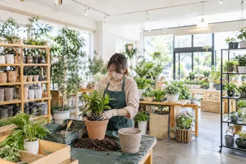 花・園芸・グリーンの写真 No.33